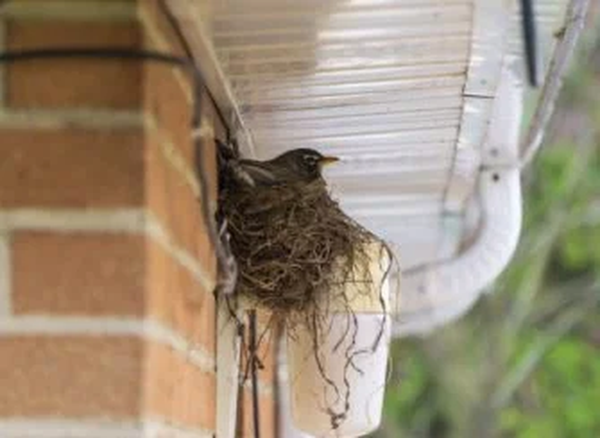 IMAGE02
